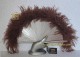 Abanico mini de plumas, Mod. BRAWNY
